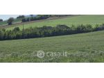 Marsciano vendesi rustico 10 vani 340 Mq