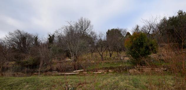 TERRENO AGRICOLO di 4807 mq (MONTEBELLUNA) rif. ZT38G_49