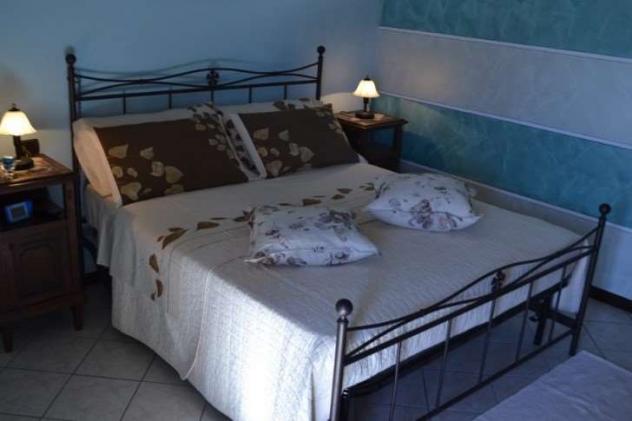 V000565 - ESCLUSIVA TENUTA CON TERRENO - POTENZIALE B&B - Foto 17