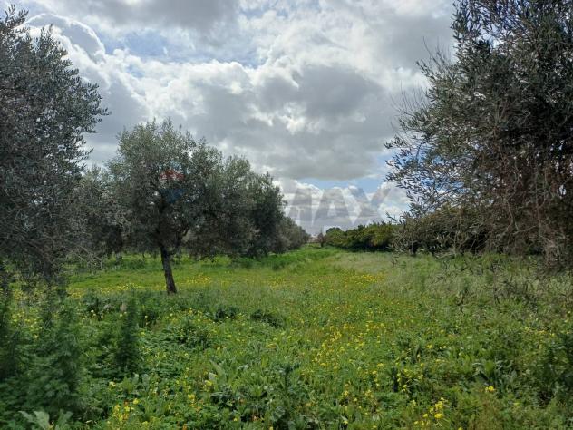 Villa singola in vendita a Chiaramonte Gulfi - Foto 9