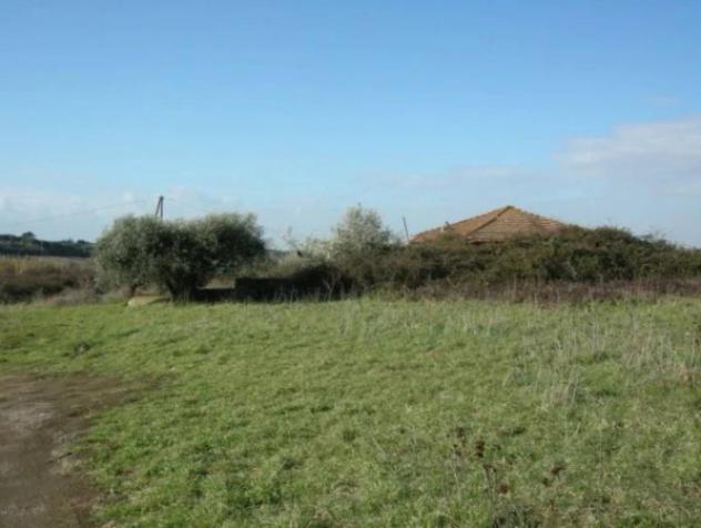 Immobile in asta di 6756 m² in vendita a Marino - Foto 8