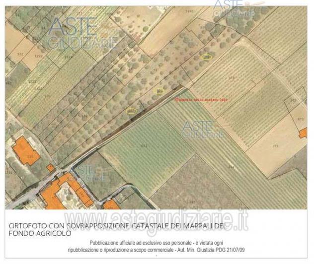 IMMOBILI-ALTRA CATEGORIA-Contrada Gurgo - Foto 5