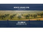 Immobile in asta di 23890 m² in vendita a Monte Urano