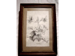 Quadro fiori vintage
