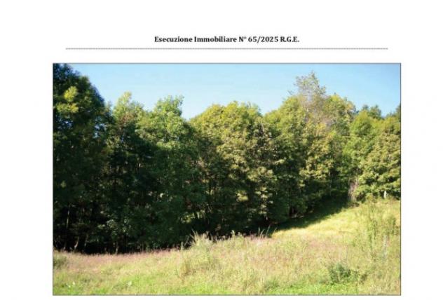 Immobile in asta di 219 m² con più di 5 locali in vendita a Paesana - Foto 5