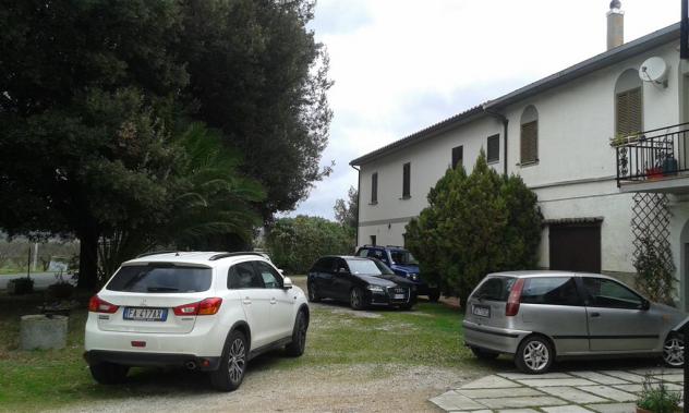 Appartamento indipendente in Vendita in zona SCARLINO SCALO con giardino - Foto 4