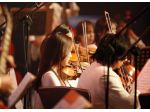 Quartetto d'archi Bergamo