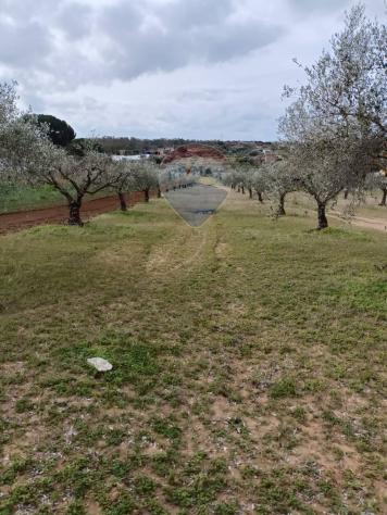 Terreno in vendita a Caltagirone, Santo Pietro