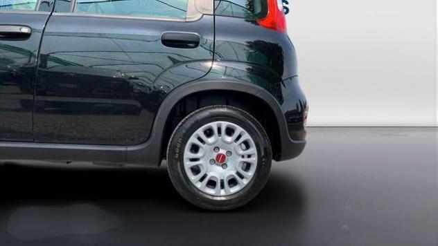 FIAT Panda 1.0 firefly hybrid s&s 70cv - Foto 9