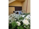 Noleggio occasionalme maggiolone cabriolet per matrimoni ed eventi 347908638