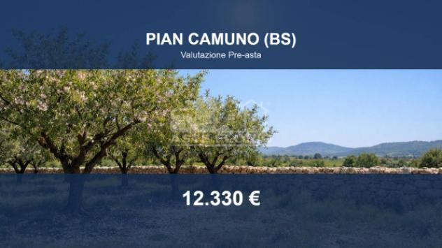 Immobile in asta di 34370 m² in vendita a Pian Camuno