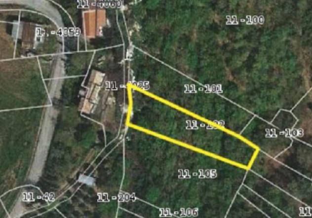 Immobile in asta di 9105 m² in vendita a Torricella Peligna