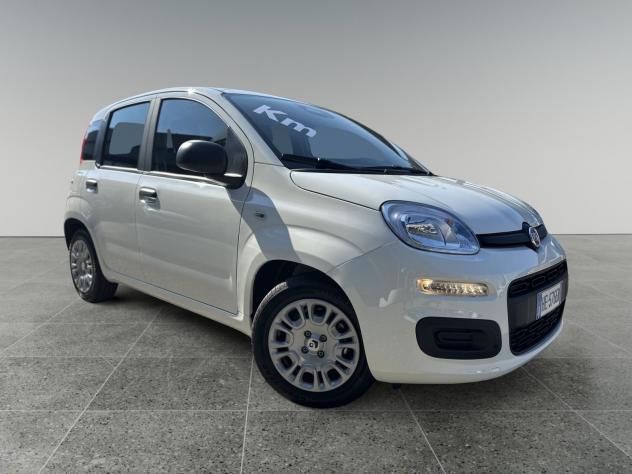 FIAT Pandina 1.0 FireFly 65cv S&S 6m Hybrid Icon