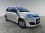 FIAT Pandina 1.0 FireFly 65cv S&S 6m Hybrid Icon