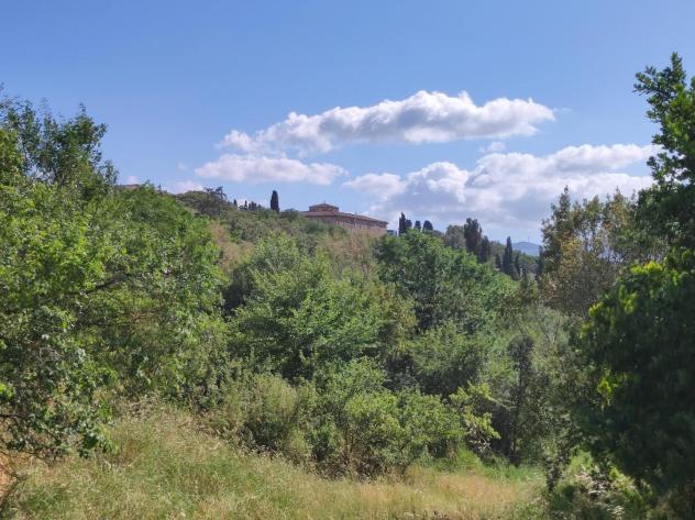 Casale in vendita a Spedaletto - Lajatico 400 mq Rif: 1089256