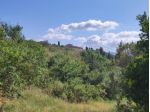 Casale in vendita a Spedaletto - Lajatico 400 mq  Rif: 1089256
