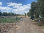 Agricolo in vendita a Belpasso