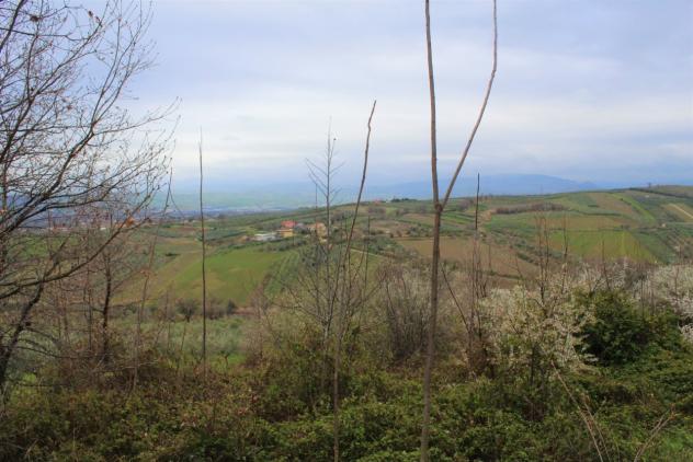 Agricolo in vendita a Mozzagrogna - Foto 3