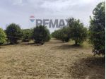 Terreno in vendita a Siracusa, Elorina