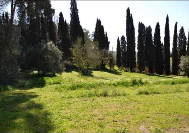 Immobile in asta di 5064 m² in vendita a Vinci - Foto 4