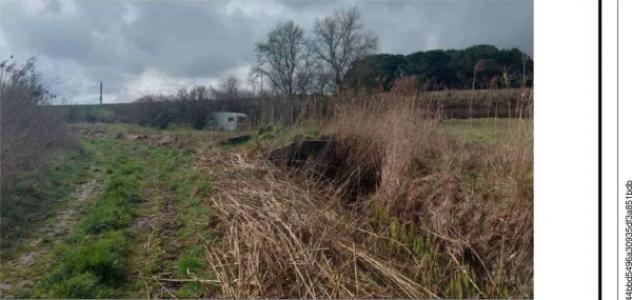 Immobile in asta di 30045 m² in vendita a Viterbo - Foto 6