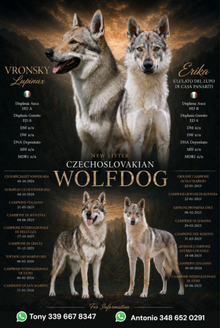 Lupo Cecoslovacco