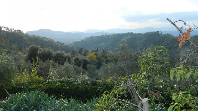 Villa in vendita a Sarzana - Foto 6