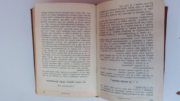 HOEPLI 1917 razze bovine, equine.... - Foto 6