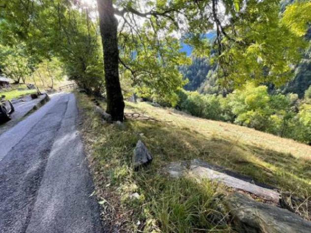 Immobile in asta di 2040 m² in vendita a Grosio - Foto 8