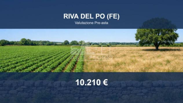 Immobile in asta di 22063 m² in vendita a Riva del Po