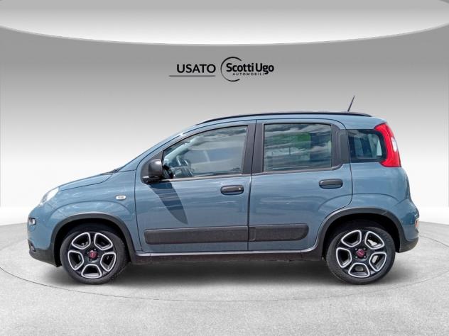 FIAT Panda III 2021 1.0 firefly hybrid City Life s&s 70cv - Foto 3