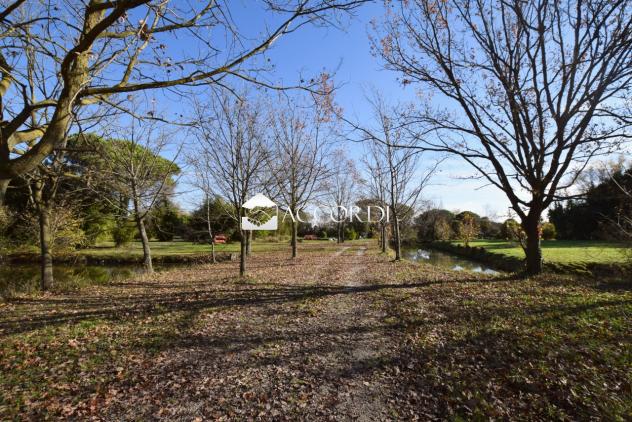 TERRENO AGRICOLO di 54401 mq (QUARTO D'ALTINO) rif. SWD1 - Foto 8