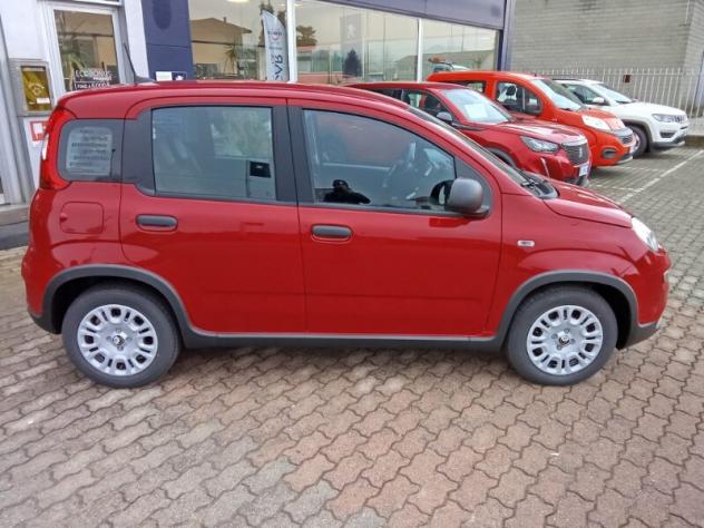 FIAT Panda 3ª serie Panda 1.0 FireFly S&S Hybrid Icon - Foto 2