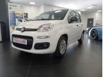 FIAT Panda 1.0 FireFly S&S Hybrid rif. 23981264