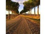 Societa' Immobiliare La Manonera