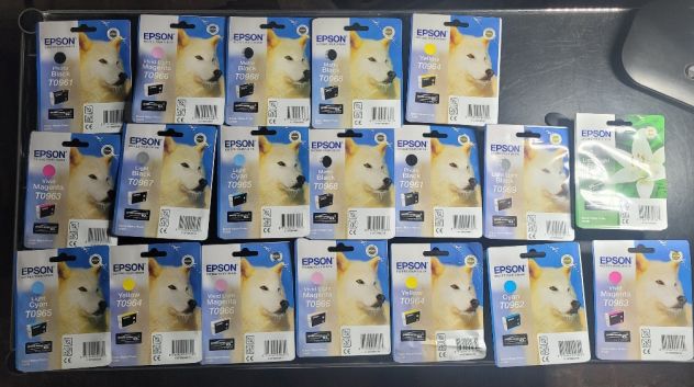 Cartucce Originali Epson Stylus Serie T0 per Stampante Fotografica R2880
