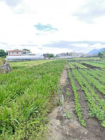 Agricolo in Traversa Schito - Foto 8