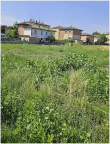 Immobile in asta di 707 m² in vendita a Ravarino - Foto 2