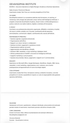 Executive Operations & Digital Manager “Academy & Business Operations” - Foto 2