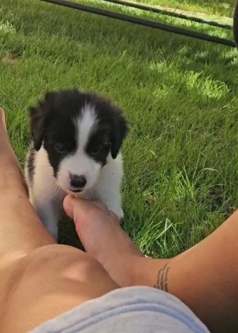 Luisa: 2 mesi taglia contenuta - Foto 8
