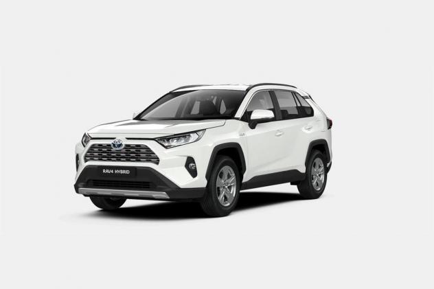 Toyota RAV4 V 2019 2.5 vvt-ie h Business awd-i 222cv e-cvt