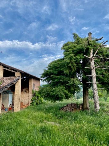 Cascinale con terreno a corpo - Foto 5