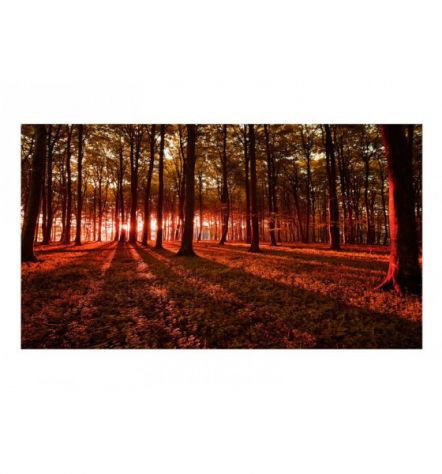 Fotomurale Adesivo Nel Bosco Rosso Arredalacasa - Foto 2