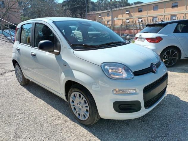 FIAT Panda 1000 HYBRID PANDINA ICON 65CV PACKCITY ITALIA rif. 23999337 - Foto 2