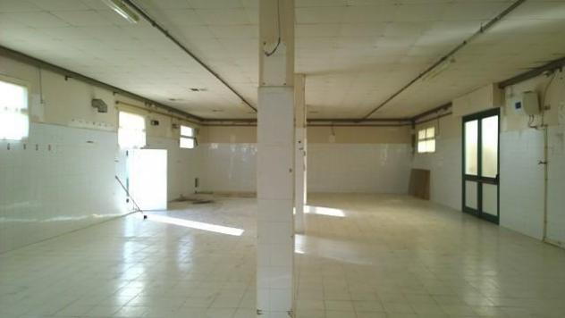 Laboratorio in affitto a Ponsacco 254 mq Rif: 1382366
