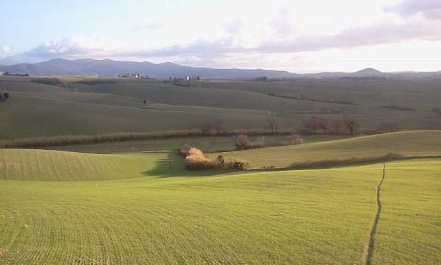 Casa singola in vendita a Orciano Pisano 300 mq Rif: 1455432 - Foto 4