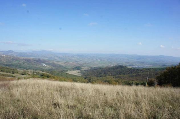 Immobile in asta di 1900000 m² in vendita a Piancastagnaio - Foto 16