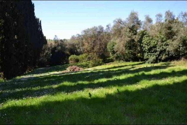 Immobile in asta di 5064 m² in vendita a Vinci - Foto 5