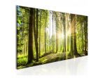 Quadro Foresta Alberata ARREDALACASA