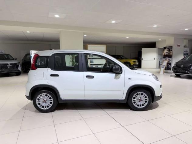 Fiat Panda Panda 1.0 firefly hybrid s - Foto 4